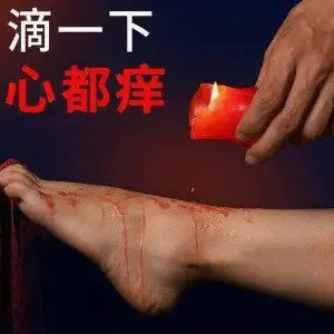 【西檬之家】字母圈的S属性是什么？新人入圈必看指南