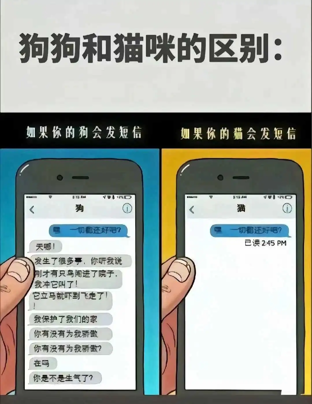 西檬之家-BDSM核心术语解析：新手入圈指南