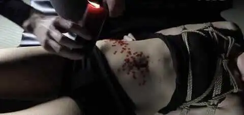 西檬之家：小圈是什么？BDSM圈内术语与入圈指南