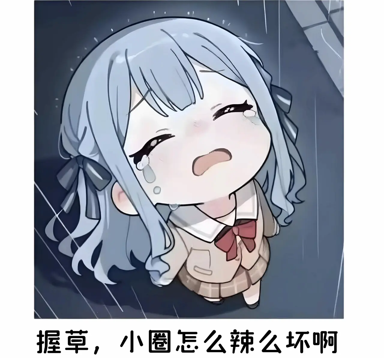 【西檬之家】字母圈的K8是什么？猫系角色扮演解析