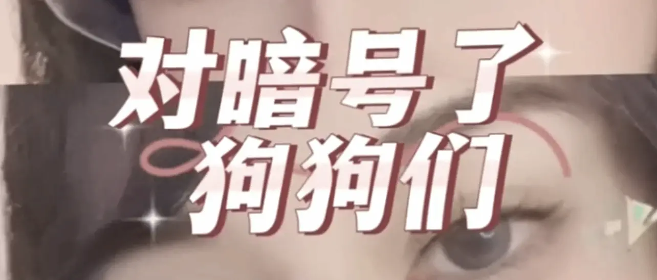 【西檬之家】大圈是什么意思？BDSM新人入圈必读指南