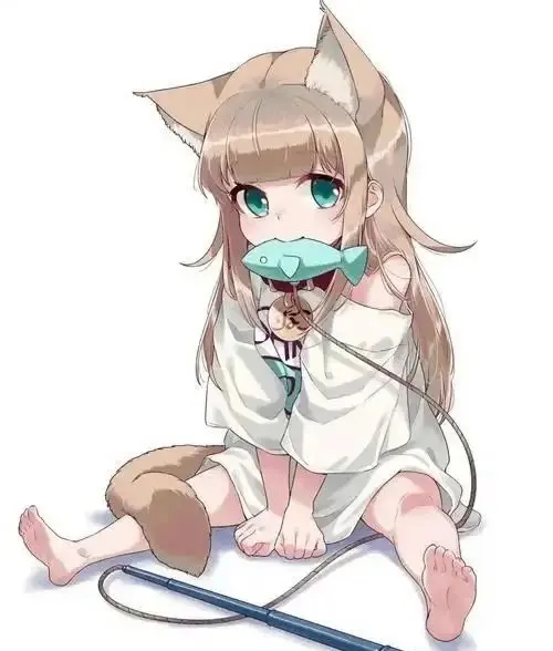 【西檬之家】字母圈新人如何入圈？从SSC原则到术语解析的完整指南