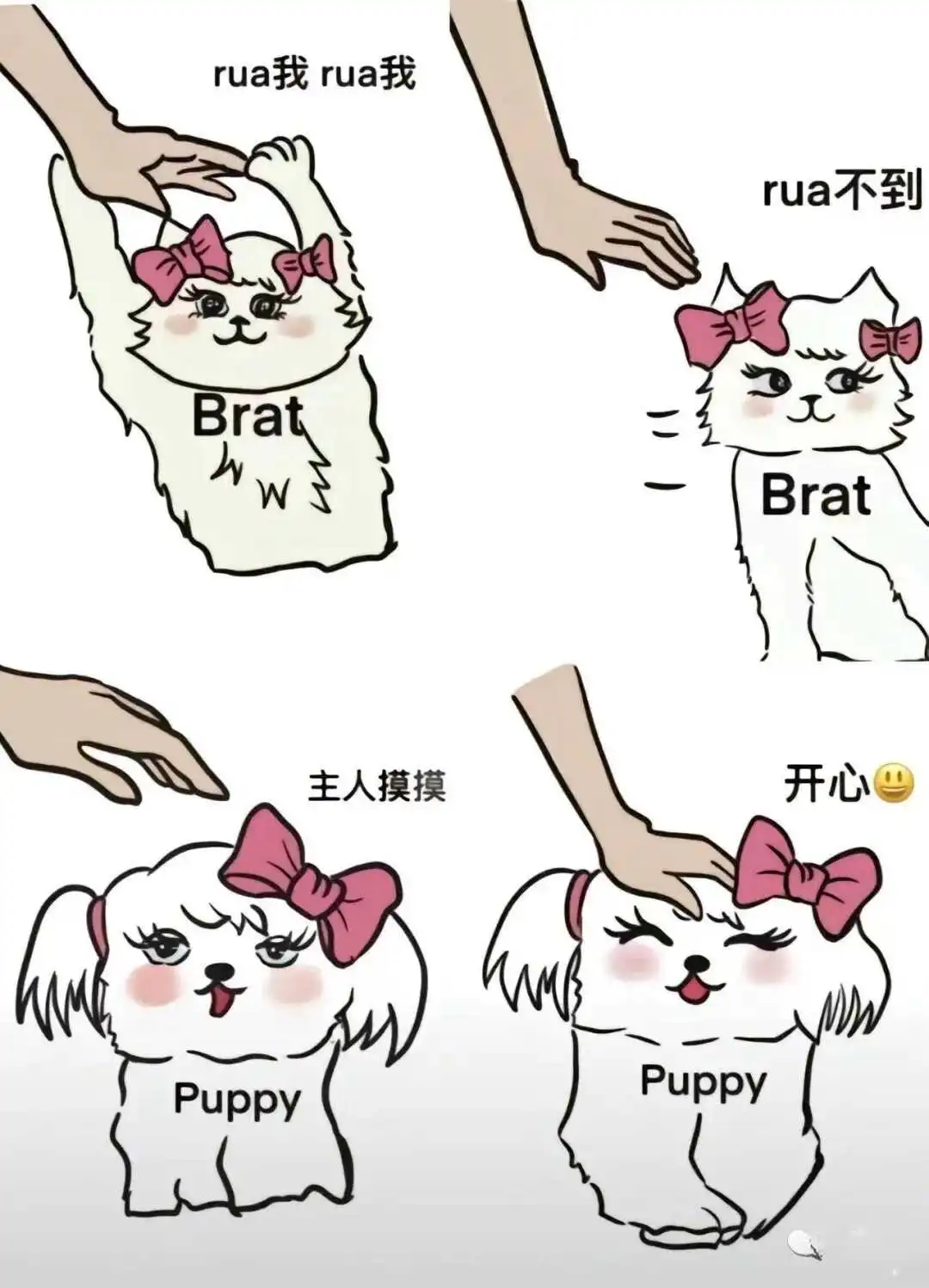 【西檬之家】brat属性详解：字母圈新人的心理与互动指南