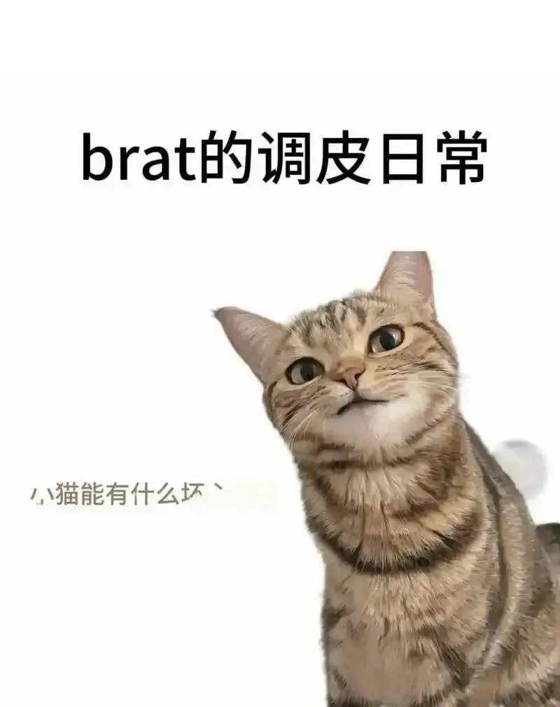 【西檬之家】圣水在字母圈中的含义与使用指南