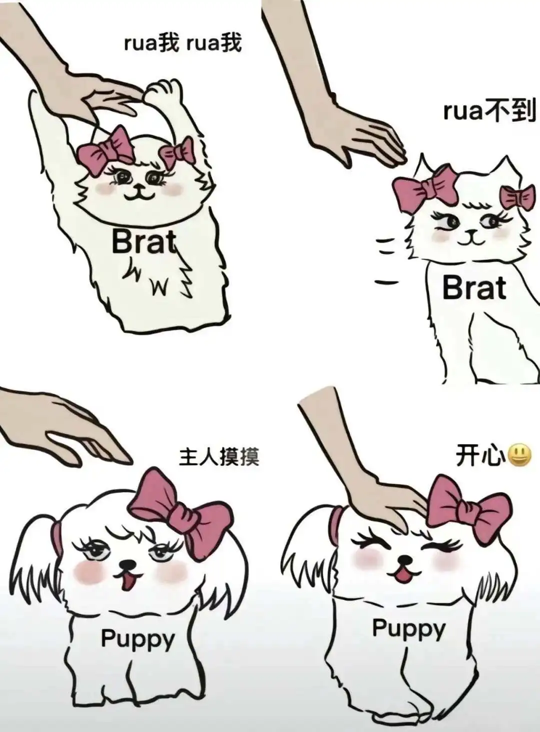 西檬之家-字母圈K8是什么？新人入圈指南