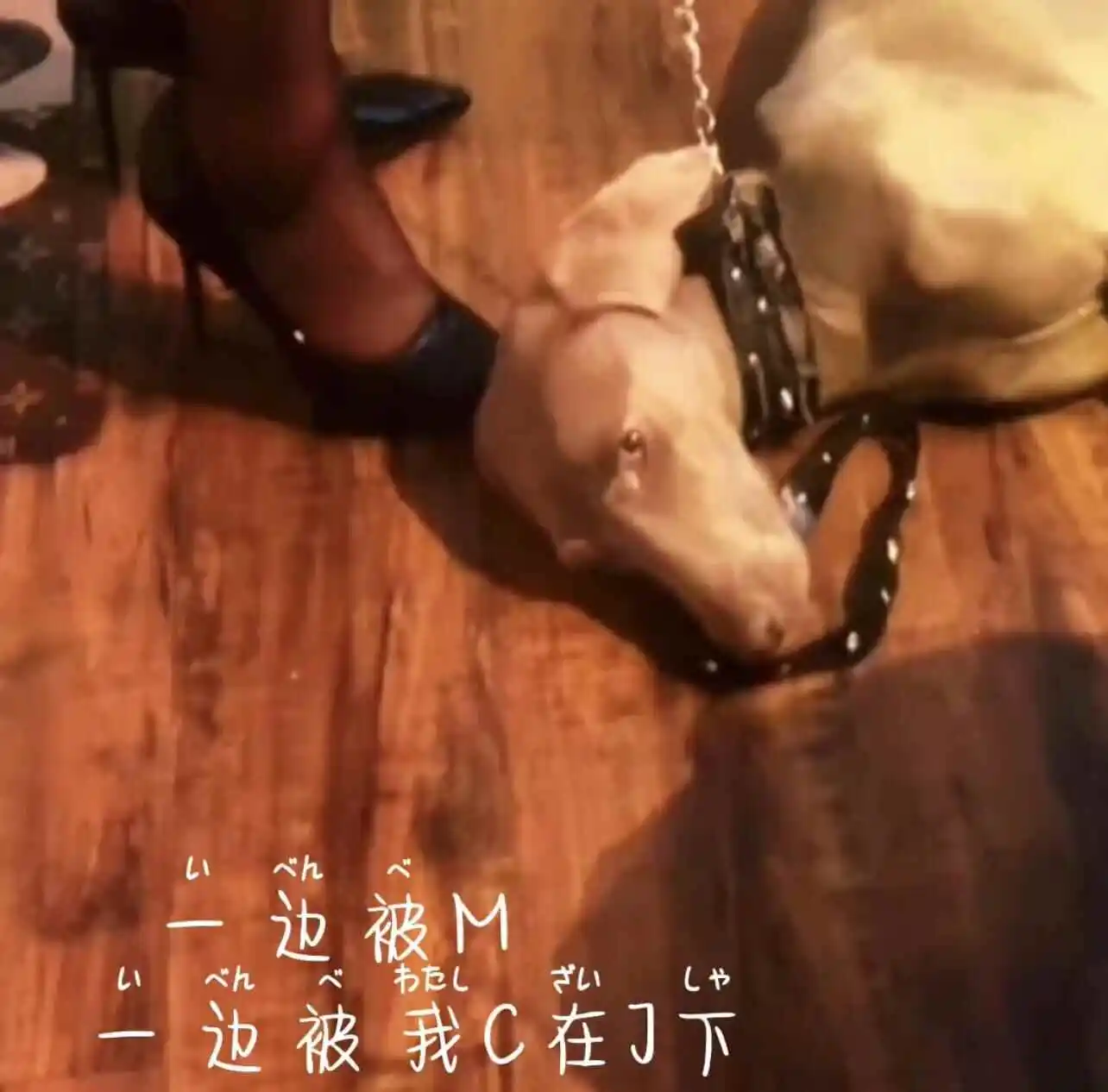 西檬之家-PE是什么意思？BDSM权力交换实践指南