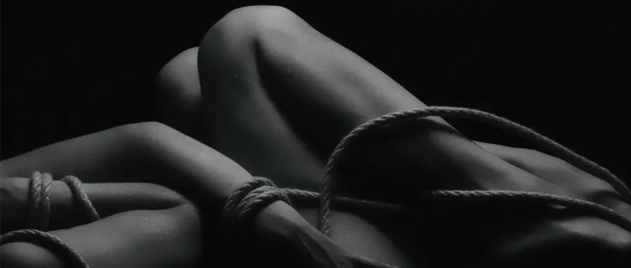 西檬之家 - 字母圈SP实践指南：掌握BDSM中的调教艺术