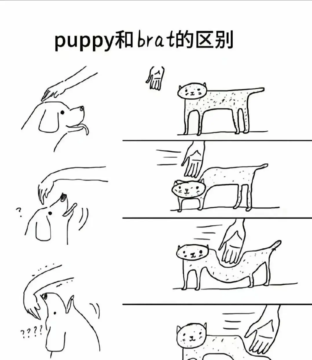西檬之家-BDSM字母圈DT是什么？新人入圈指南